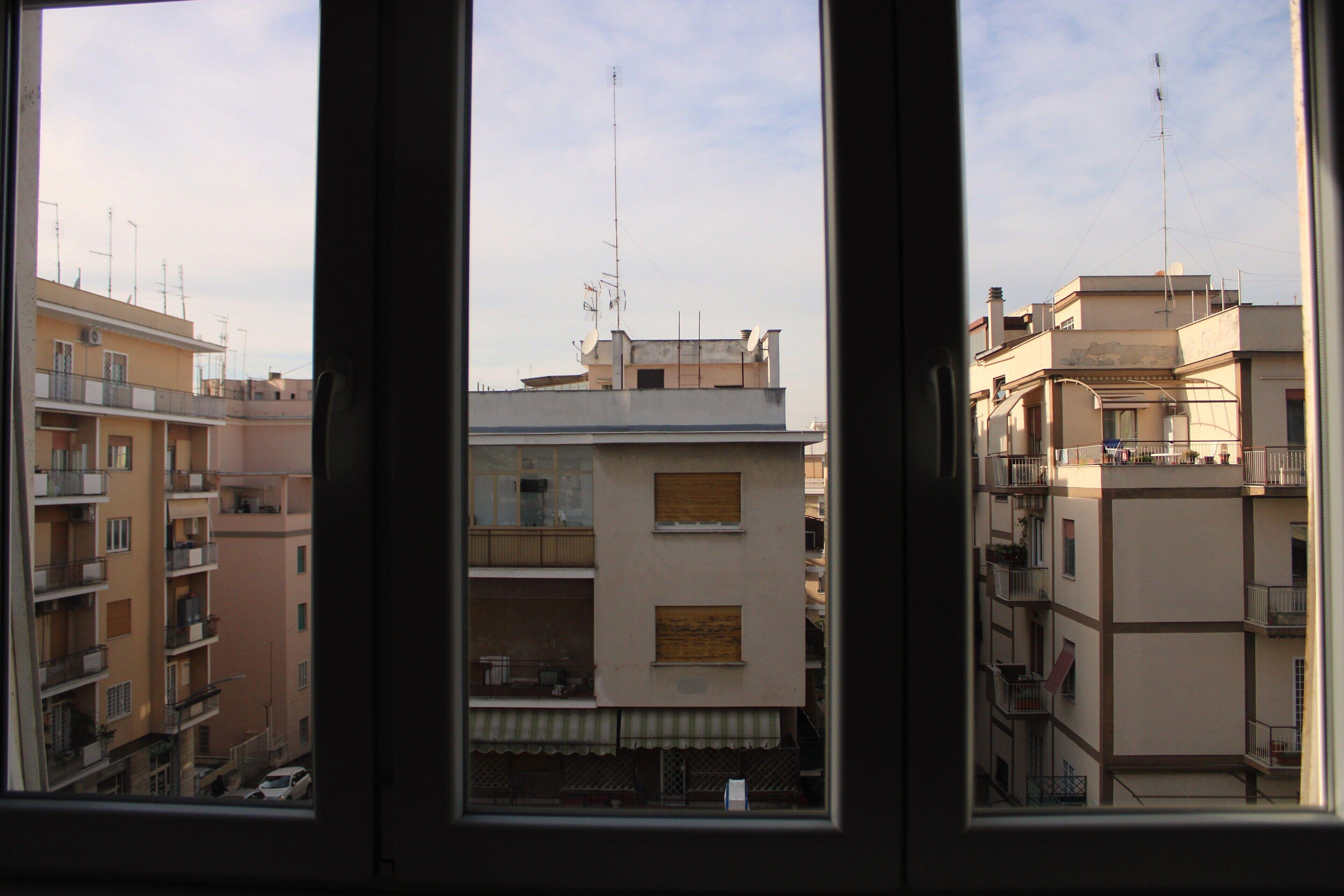 Mikasa Balduina Roma — Foto 1